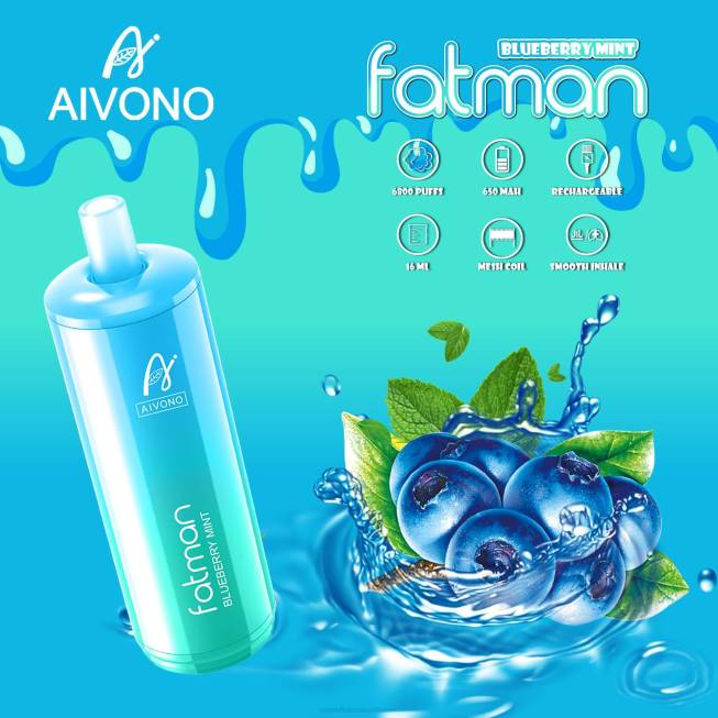 Aivono FATMAN 6800 Blueberry Mint - 066822 Vape Wholesale Prices