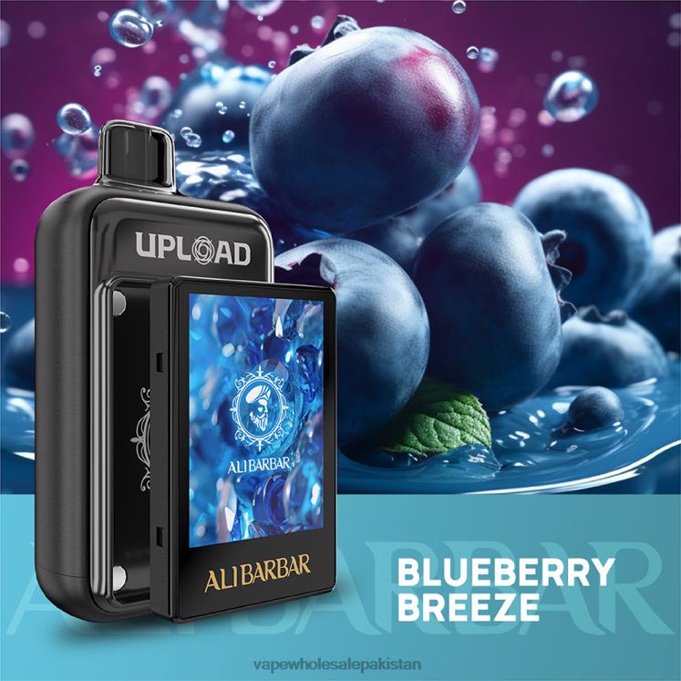 E Cigarette Wholesale Blueberry breeze | Alibarbar Upload 8L8RF113