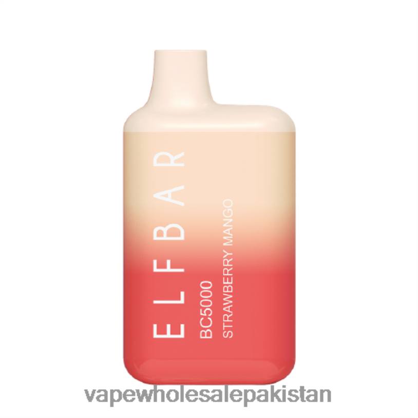 E Cigarettes Wholesale Suppliers Strawberry Mango D42RL309 ELFBAR BC5000