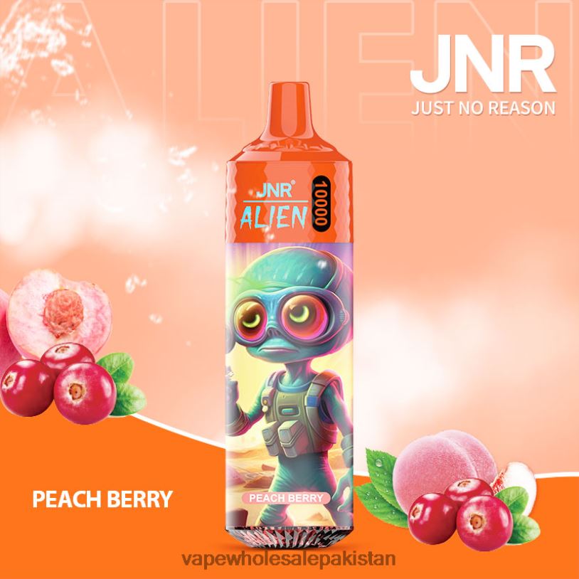 E Cigarette Wholesale Peach Berry D42RL655 JNR ALIEN