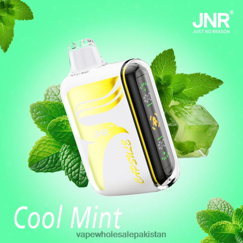 Cheapest Vape Wholesale Cool Mint D42RL604 JNR CAPSULE