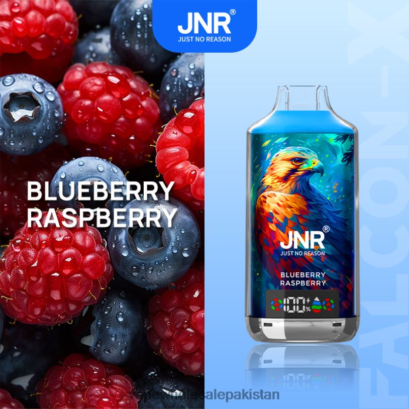 Cheapest Vape Wholesale Blueberry Raspberry D42RL544 JNR FALCON-X