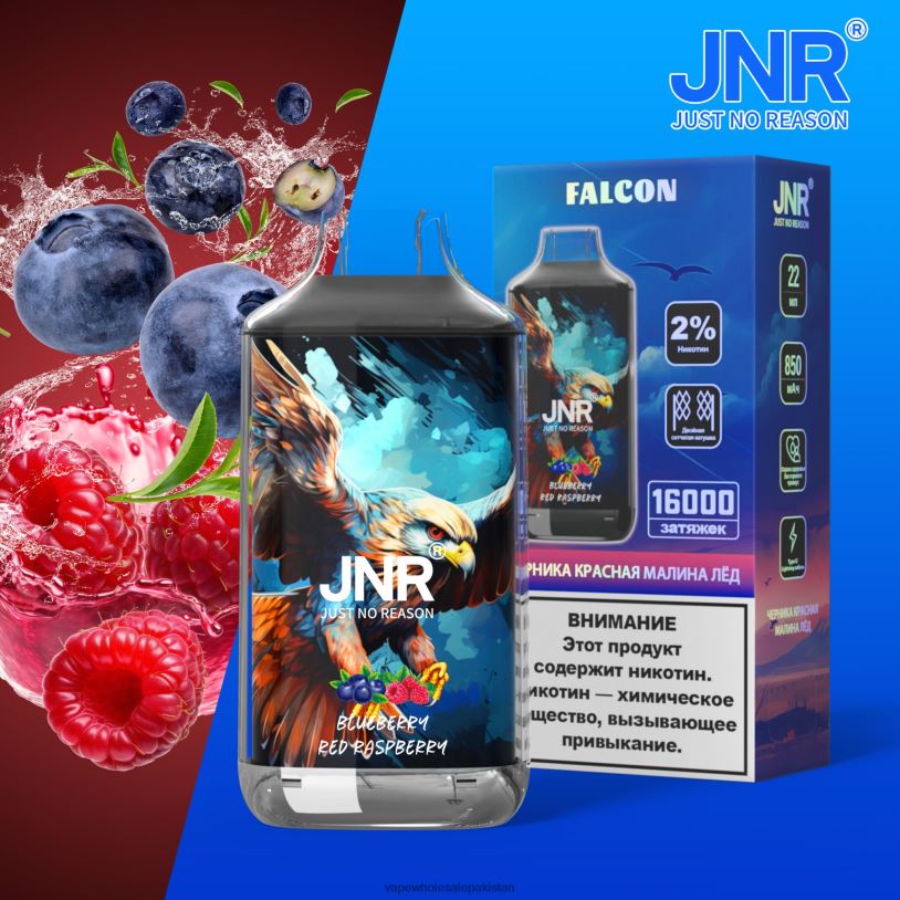 Electronic Cigarette Wholesale Price Blueberry Red Raspberry D42RL700 JNR FALCON