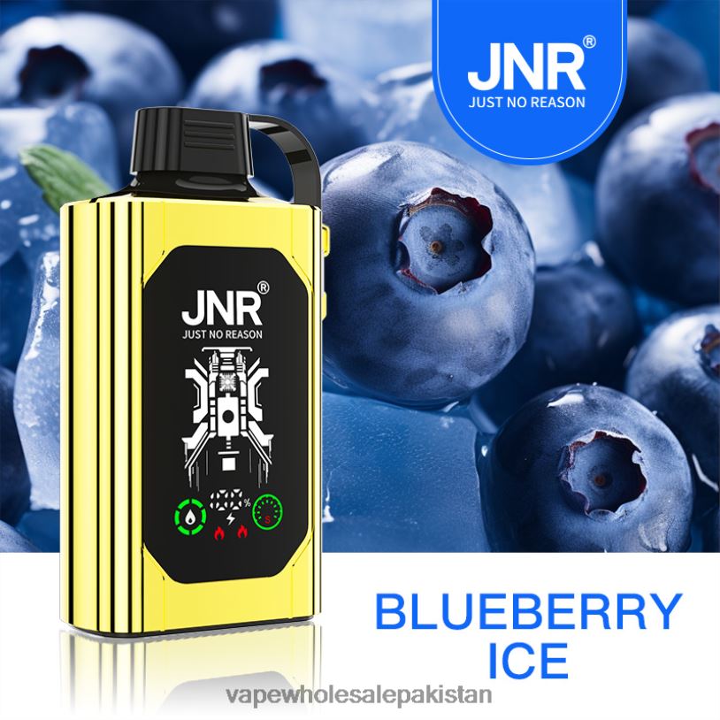 Electronic Cigarette Wholesale Blueberry Ice D42RL617 JNR SHISHA BOX