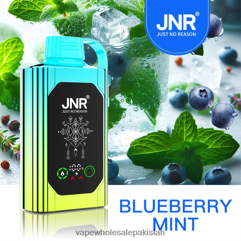 Electronic Cigarette Wholesale Supplier Blueberry Mint D42RL618 JNR SHISHA BOX