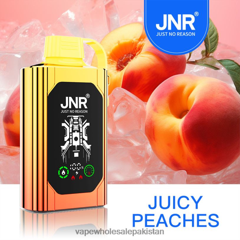 Vape Wholesale Prices Juicy Peaches D42RL622 JNR SHISHA BOX