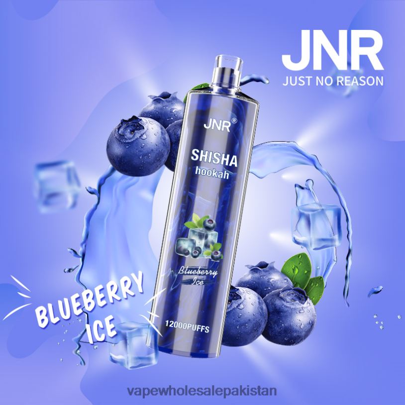 Vape Wholesale Pakistan Blueberry Ice D42RL671 JNR SHISHA