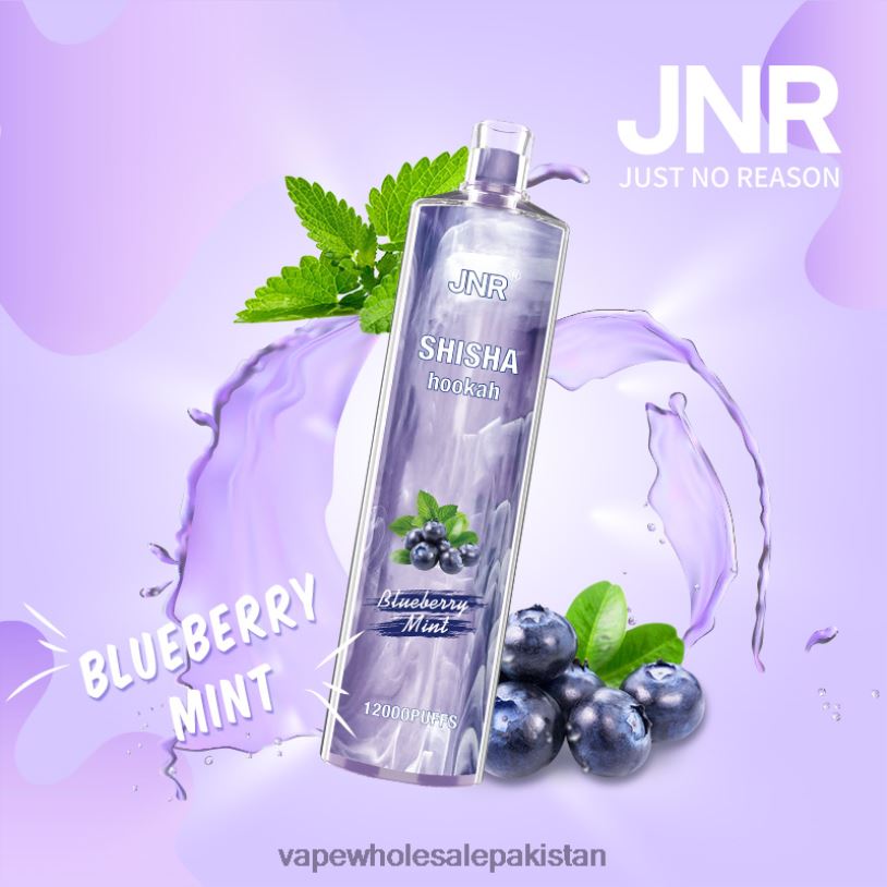 Vape Wholesale Prices Blueberry Mint D42RL672 JNR SHISHA