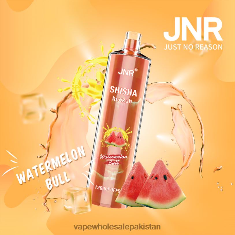 Vape Wholesale Prices Watermelon Bull D42RL692 JNR SHISHA