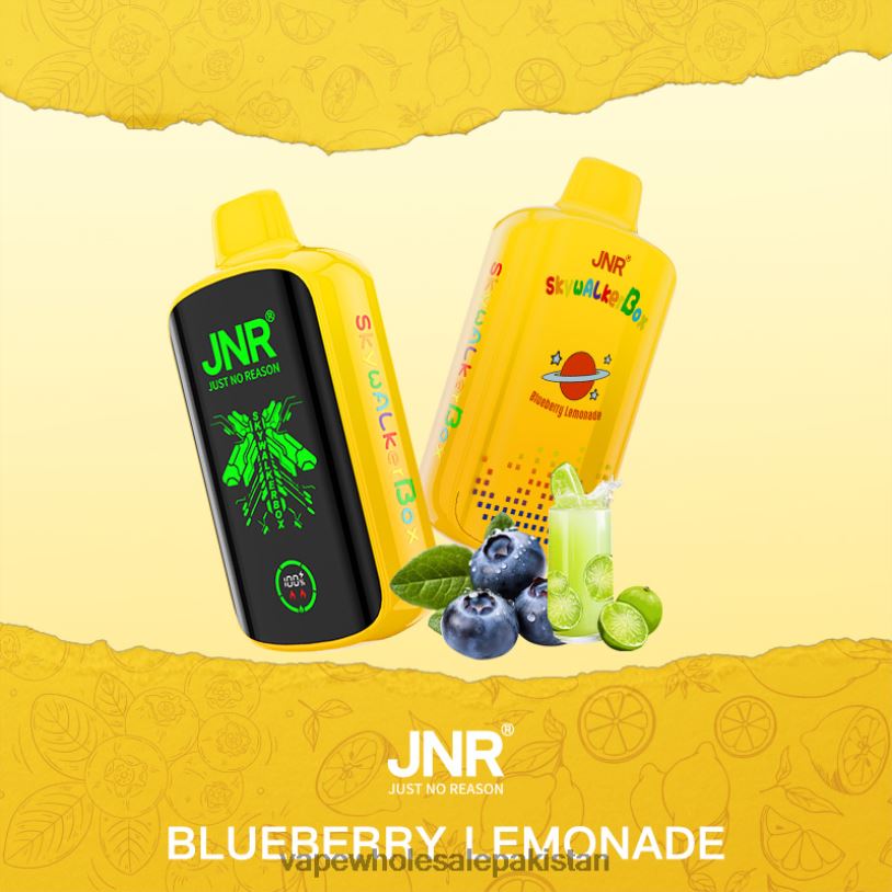 Cheapest Vape Wholesale Blueberry Lemonade D42RL584 JNR SKYWALKER BOX