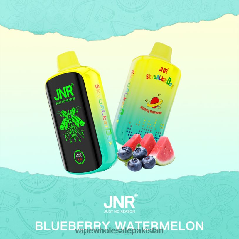 E Cig Wholesale Blueberry Watermelon D42RL586 JNR SKYWALKER BOX