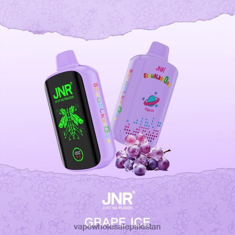 Electronic Cigarette Wholesale Grape Ice D42RL587 JNR SKYWALKER BOX