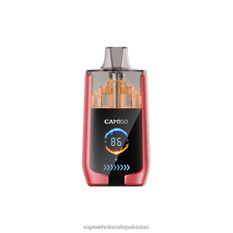 LAVIE CAMEO 30000 Puffs HLND214 | Cheapest Vape Wholesale Watermelon Ice