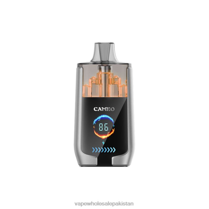 LAVIE CAMEO 30000 Puffs HLND215 | E Cigarette Wholesale Blueberry Ice