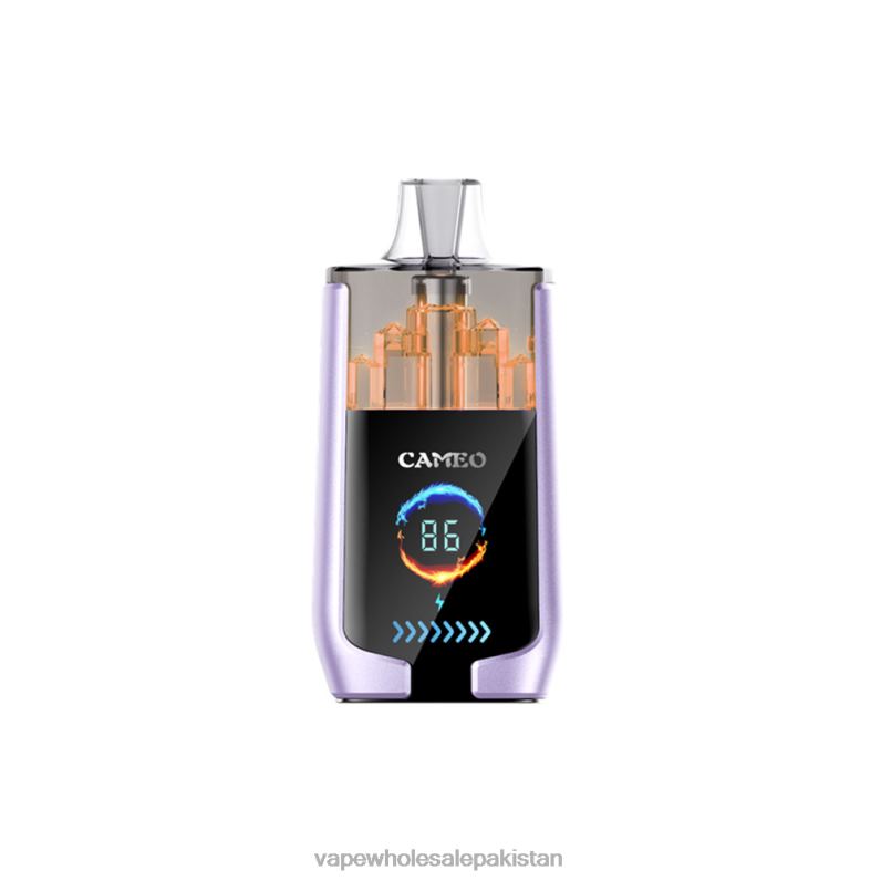 LAVIE CAMEO 30000 Puffs HLND216 | E Cig Wholesale Grape Ice