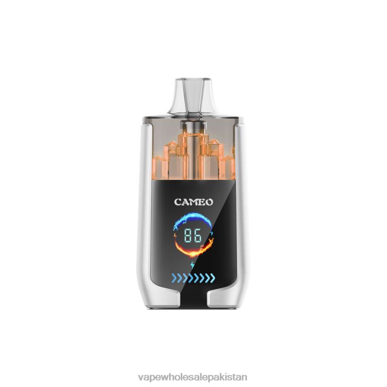 LAVIE CAMEO 30000 Puffs HLND217 | Electronic Cigarette Wholesale Pear Ice