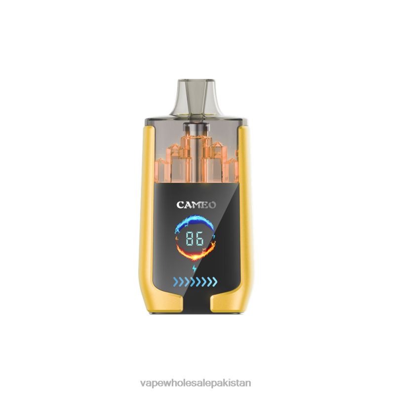 LAVIE CAMEO 30000 Puffs HLND221 | Vape Wholesale Pakistan Mango Ice