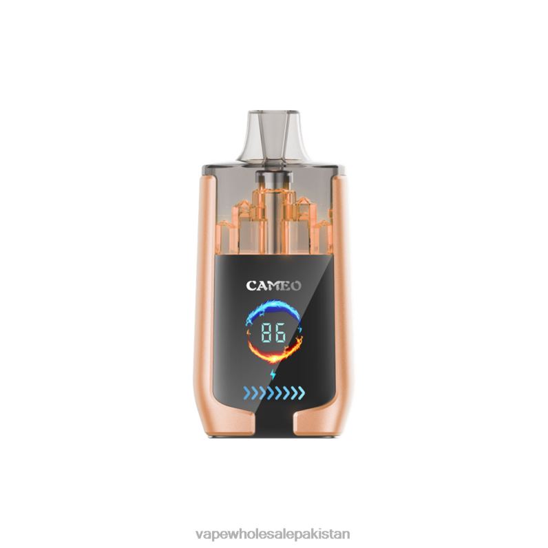 LAVIE CAMEO 30000 Puffs HLND222 | Vape Wholesale Prices Cherry