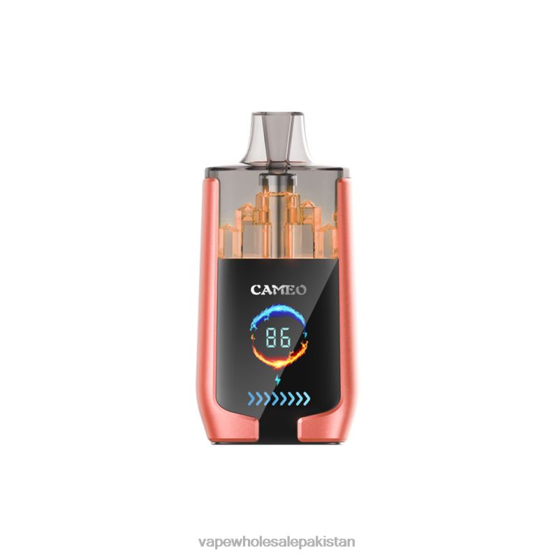 LAVIE CAMEO 30000 Puffs HLND224 | Cheapest Vape Wholesale Strawberry Watermelon