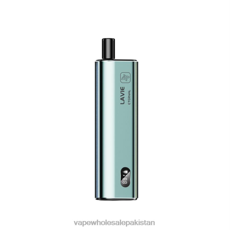 LAVIE ETERNAL 10000 Puffs HLND2121 | Vape Wholesale Pakistan Mint Ice