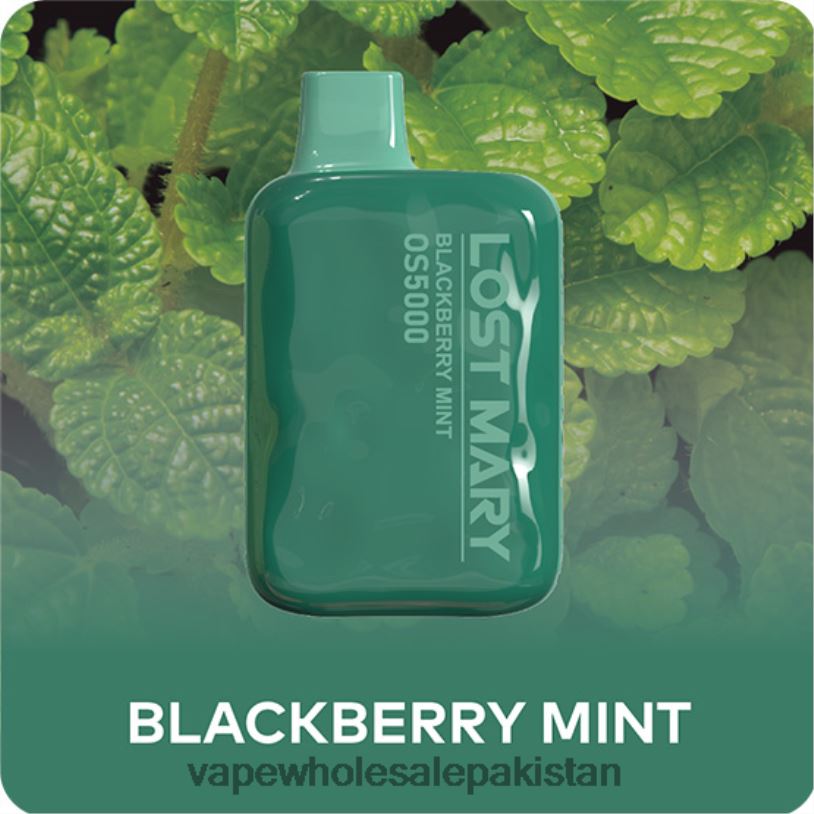 E Cigarette Wholesale Blackberry Mint D42RL485 LOST MARY OS5000