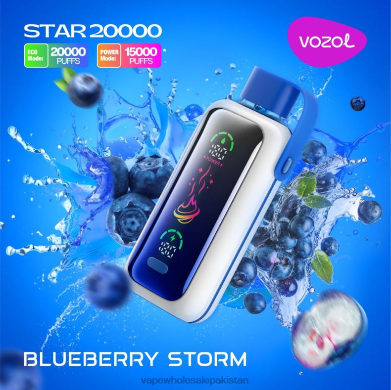 E Cigarette Wholesale BLUEBERRY STORM D8T2L5 VOZOL STAR 20000