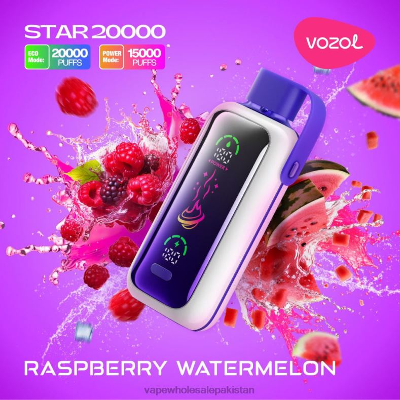 E Cigarette Wholesale RASPBERRY WATERMELON D8T2L19 VOZOL STAR 20000